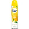 Brait Lemon Fresh 300 Ml Ilmanraikastin -Siivoustarvikeliike Kauppa 5908241723892